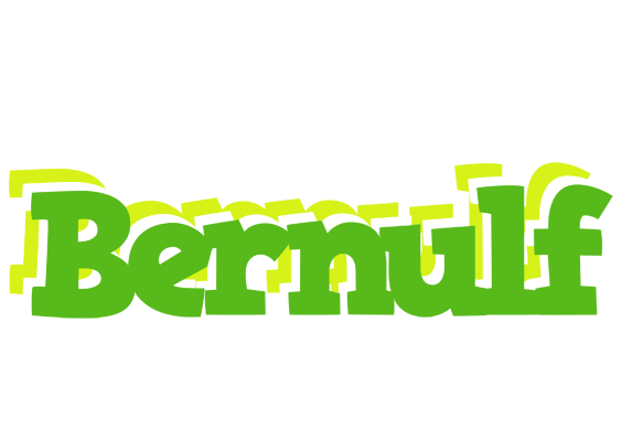 Bernulf picnic logo