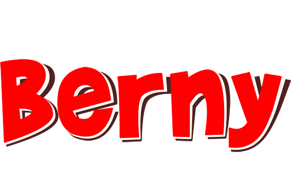Berny basket logo