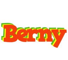 Berny bbq logo