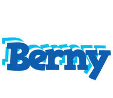 Berny business logo