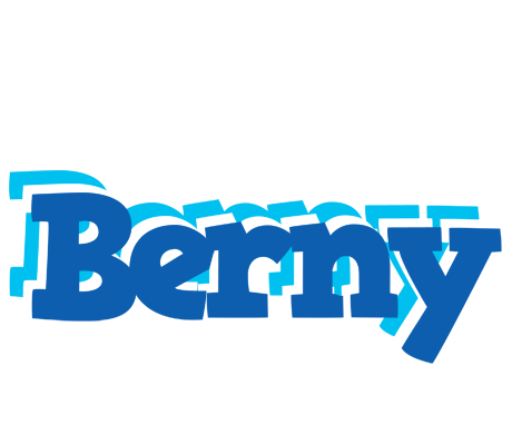 Berny business logo