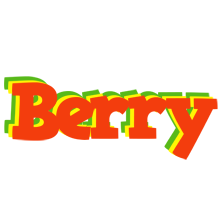 Berry bbq logo