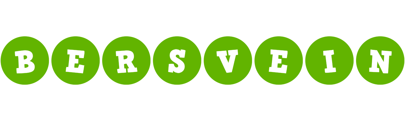 Bersvein games logo