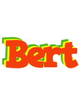 Bert bbq logo