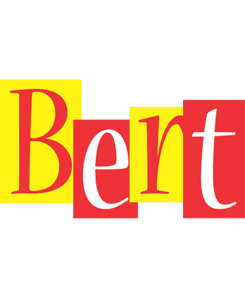 Bert errors logo