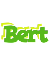 Bert picnic logo