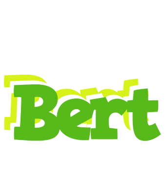Bert picnic logo