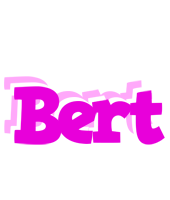 Bert rumba logo