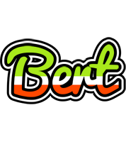 Bert superfun logo