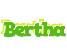 Bertha picnic logo