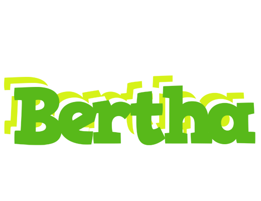 Bertha picnic logo