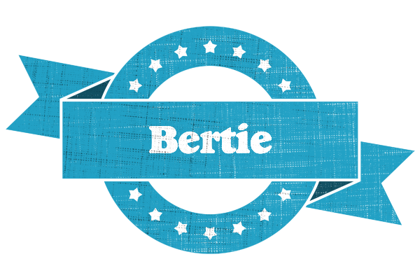Bertie balance logo