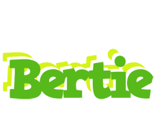 Bertie picnic logo