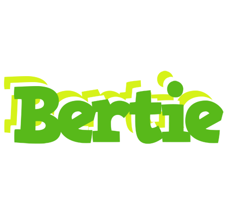 Bertie picnic logo