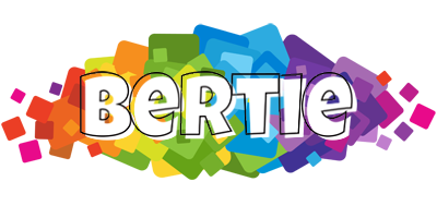 Bertie pixels logo