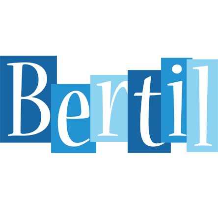 Bertil winter logo