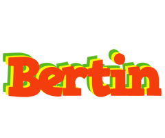 Bertin bbq logo