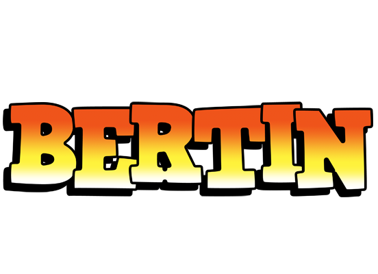 Bertin sunset logo