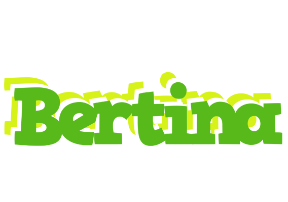 Bertina picnic logo