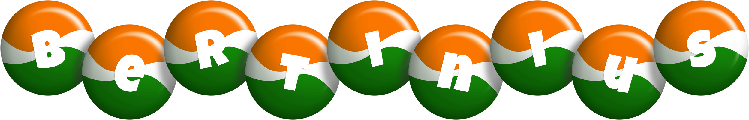 Bertinius india logo