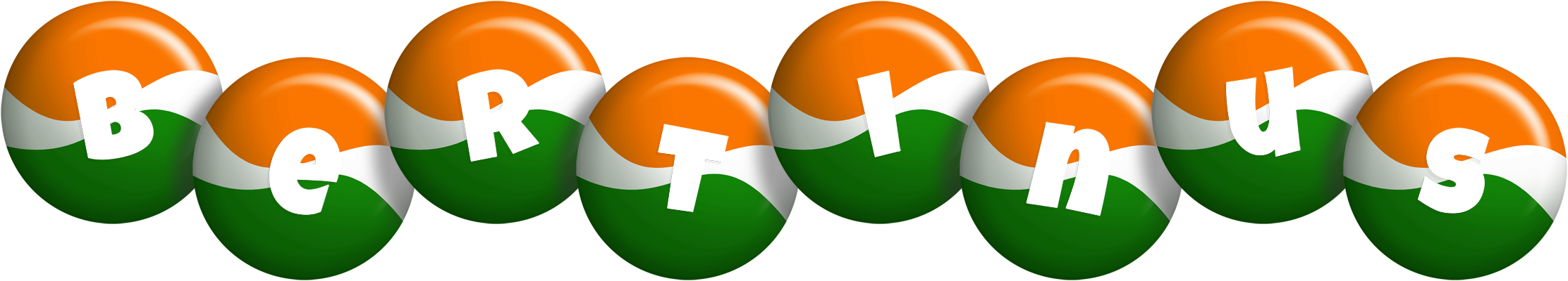Bertinus india logo