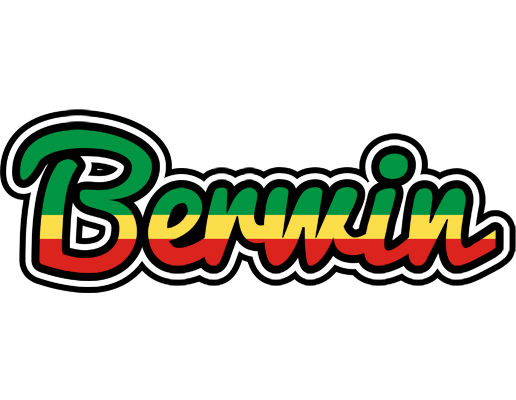 Berwin african logo
