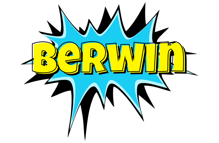 Berwin amazing logo