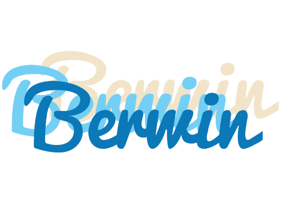 Berwin breeze logo