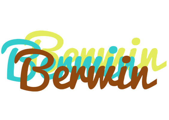 Berwin cupcake logo