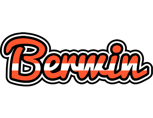 Berwin denmark logo