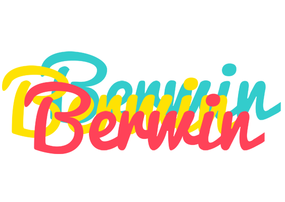 Berwin disco logo