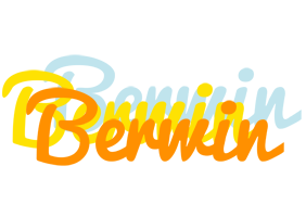 Berwin energy logo