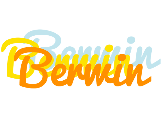 Berwin energy logo