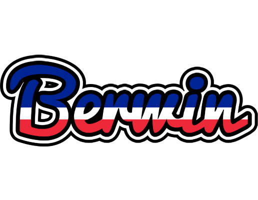 Berwin france logo