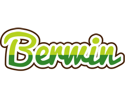 Berwin golfing logo