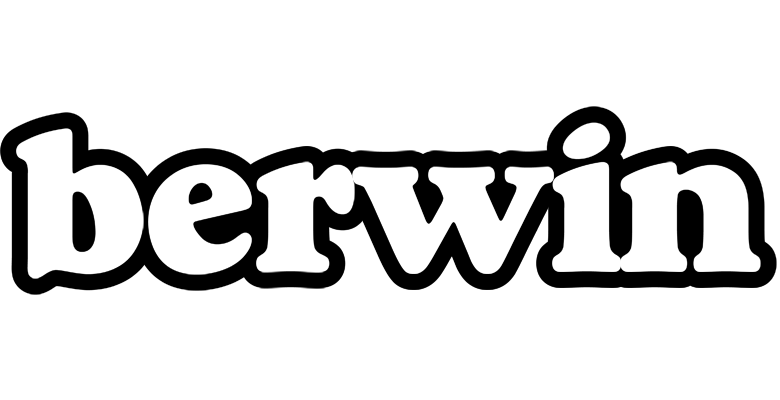 Berwin panda logo