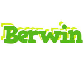 Berwin picnic logo