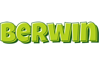 Berwin summer logo