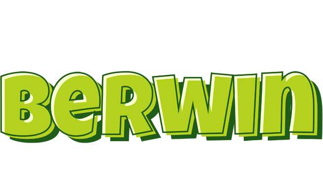 Berwin summer logo