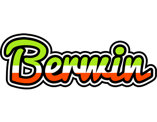 Berwin superfun logo