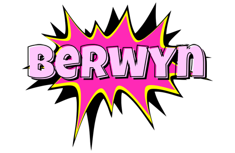 Berwyn badabing logo