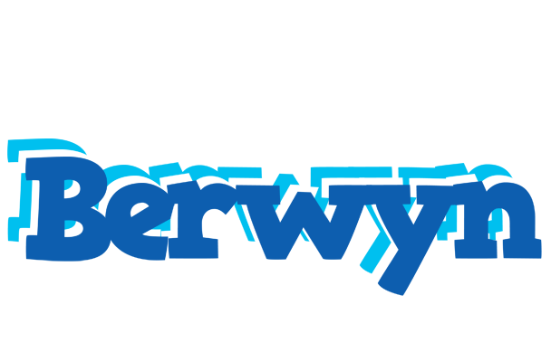 Berwyn business logo