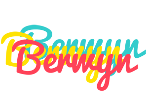 Berwyn disco logo