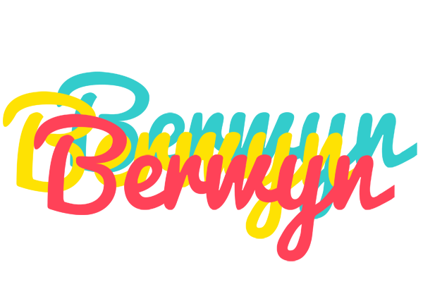 Berwyn disco logo