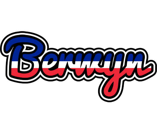 Berwyn france logo