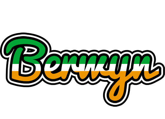 Berwyn ireland logo