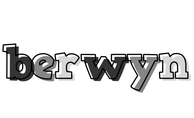Berwyn night logo