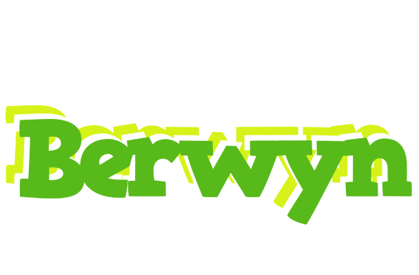 Berwyn picnic logo