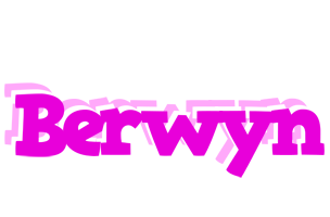 Berwyn rumba logo