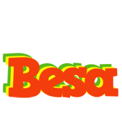 Besa bbq logo